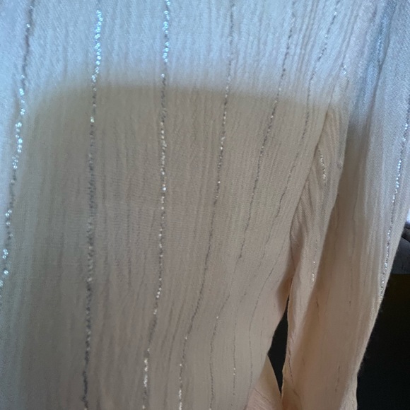 Fashion Nova cream with silver stripes short set zip up back. Plunging neckline. - Picture 10 of 12